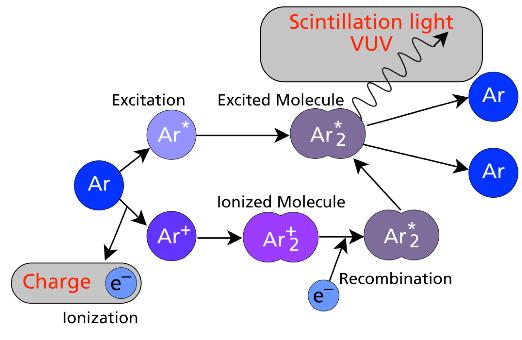 LArTPC per Fisica dei Neutrini Rivelazione della luce di scintillazione in LAr Processo di scintillazione