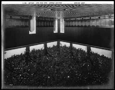 FIG. 10 - Foto Anderson, Ripresa fotografica dell angolo sud della Sala delle Asse ad allestimento concluso,1909-1929 circa, inv.