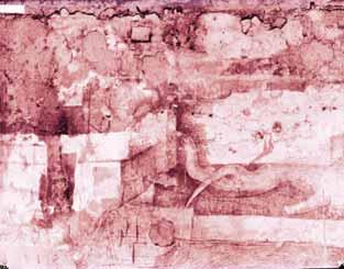 FIG. 3 - Foto Mario Perotti, Sala delle Asse, particolare del Monocromo sulla parete nord-est nella situazione in cui
