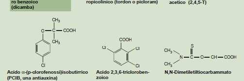 antiauxina