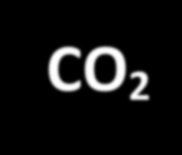 CARBON FOOTPRINT Polistirene Espanso Sinterizzato per l