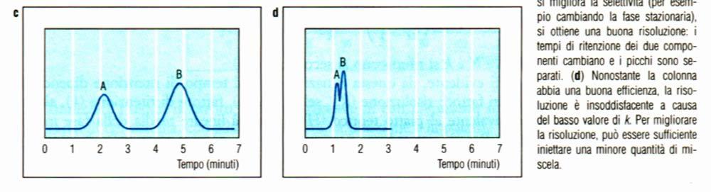 simmetrici: normalmente presentano una codatura verso i bassi tempi di