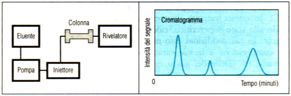 Cromatografia liquida ad alte prestazioni