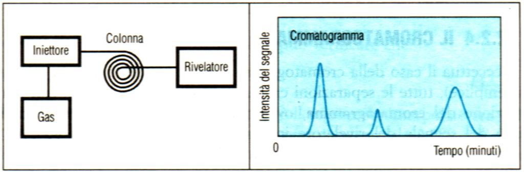GC: Gascromatografia Forno R. Cozzi, P.