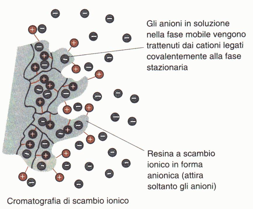 in superficie gruppi che portano una