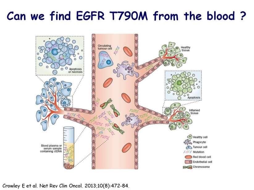Can we find EGFR T790M from the blood?