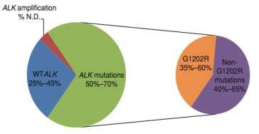 II-gen ALK TKI Failure