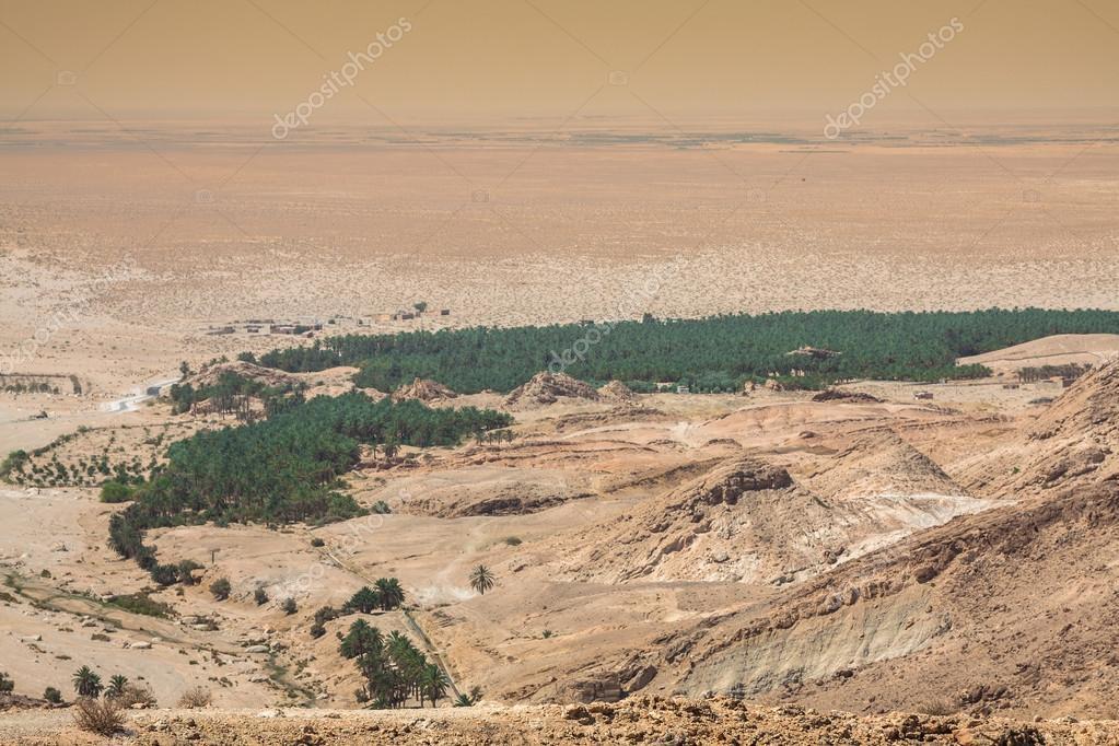 SULLE DUNE VISITA