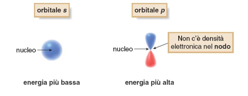 Orbitali del Carbonio: s e p Un orbitale s presenta una densità elettonica sferica e una energia più bassa di altri orbitali nello stesso livello.