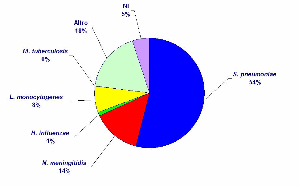 anno 2008 anno 2007 Grafico 2.