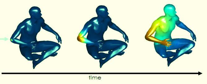 Contenuti Introduction Topology