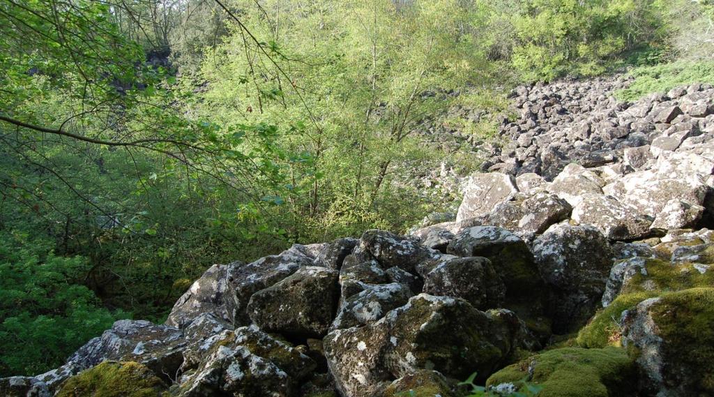 Riserva Naturale Regionale Selva del Lamone - Farnese (Vt) Geosito