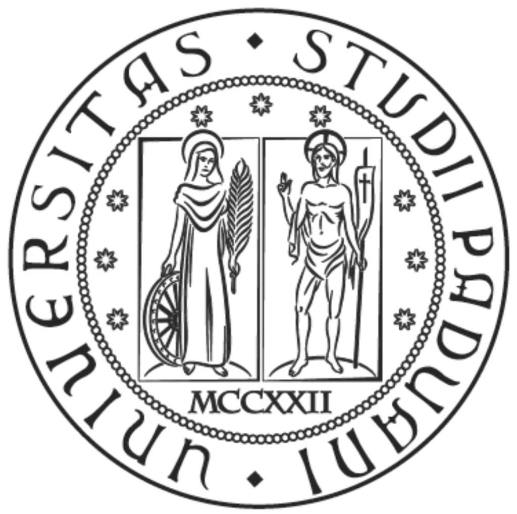 Università degli Studi di Padova Dipartimento di Matematica Corso di Laurea in Matematica Equazioni Differenziali Ordinarie Dal Teorema di Cauchy Lipschitz alle teorie di