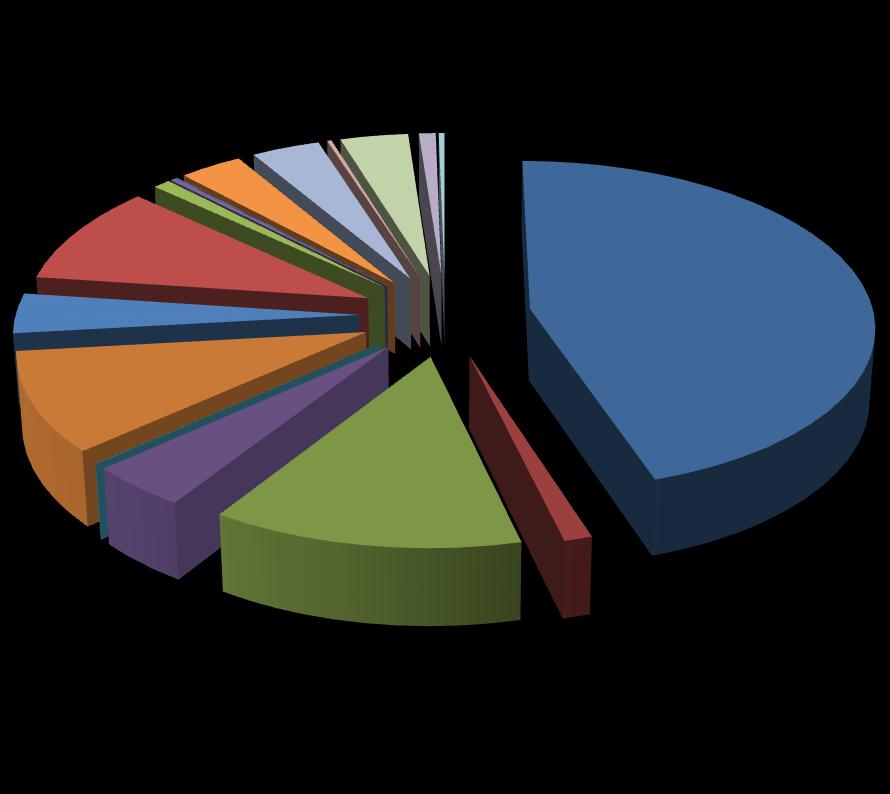 Grafico Ritiri Ritiri Vestiti-Scarpe-Borse 1% 3% 4% 4% 1%