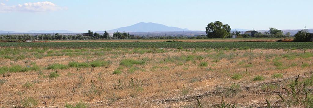 Monte Calvo da sud; c)