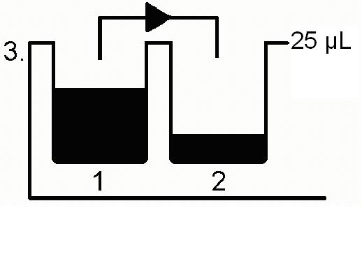 Aggiungere 10 L di campione nel pozzetto 1, quindi miscelare il contenuto con una pipetta. Nota: sono necessari due ulteriori set di pozzetti per i controlli reattivo e non reattivo.