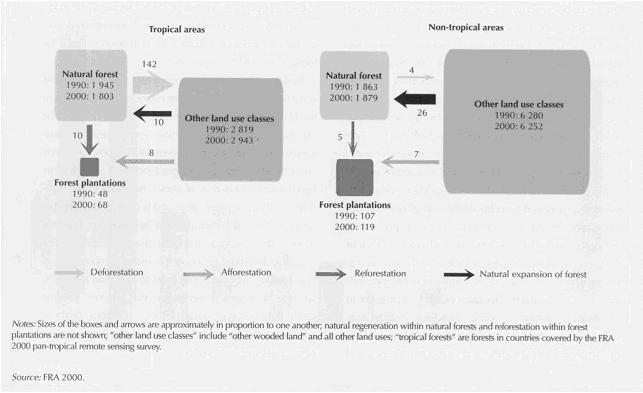 1990-2000 Variazioni della superficie e relative cause (M ha) Processi di deforestazione e di degrado delle foreste: quadro di sintesi 2000-05 Deforestazione: un processo che