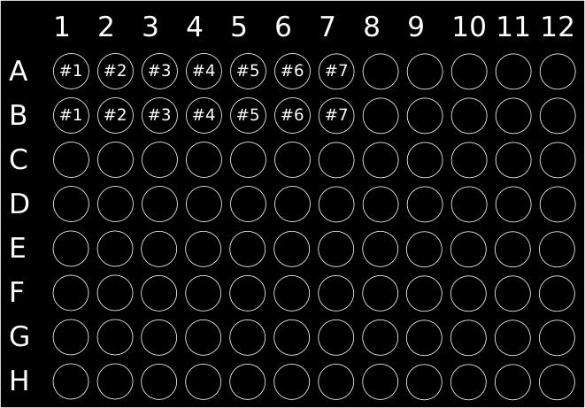 piastra quantificazione ampliconi (per un locus individuale)