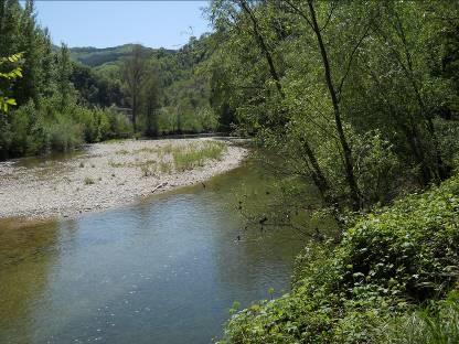 Stazione 17 - Dintorni sponda sinistra del fiume Candigliano appena fuori l abitato del Furlo, zona a bosco caducifoglio.