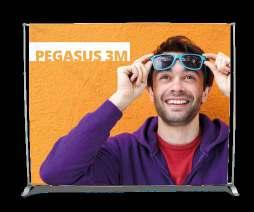 Pegasus 3m Ideale come fondale per servizi fotografici!