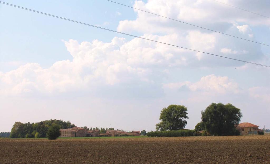 2/5- Vista da Via Fornace Tanari del complesso di Palazzo e della massa arborea