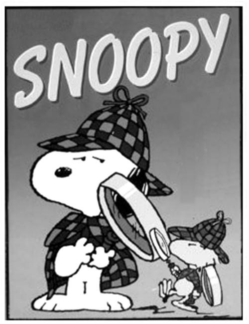 sotto la Lente di Snoopy A partire da febbraio, "Sotto la Lente di Snoopy", osservatorio con spunti di riflessione, critica e commenti su alcuni giochi pubblicati nell'ultimo numero di "Crittografie".
