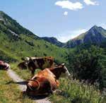 Consumi ridotti, zero sprechi e una vita senza tecnologia, in simbiosi con la montagna.