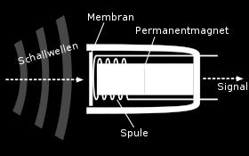 (vibrazione della membrana) segnale elettrico
