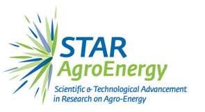 Lgs 163/06, per l affidamento dell attività di Technology Assessment nell ambito del Progetto STAR*Agro Energy Scientific &