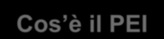 Cos è il PEI Il PEI consiste nella definizione di un programma individualizzato di accoglienza integrata che vede come