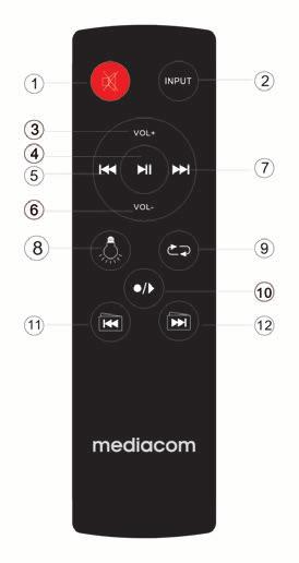 FUNZIONI DEL TELECOMANDO 1. Muto 2. Selezione ingresso 3. Aumentare il volume 4. Play/Pausa 5. Precedente 6. Abbassare il volume 7. Successivo 8. Comando luci LED 9. Ripeti 10.