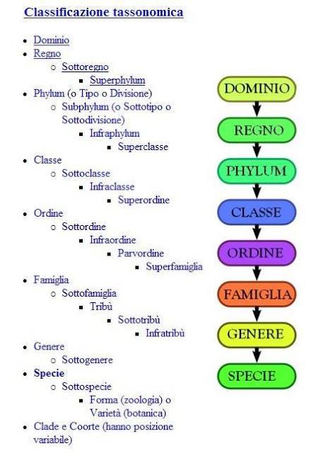 Microbiota