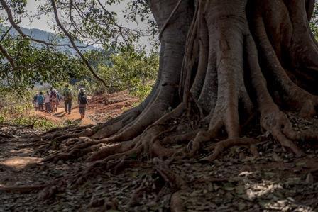 GIORNO 6 MANDALAY / PINDAYA--KALAW GIORNO 7 TREKKING KALAW ----LAGO INLE GIORNO 8 LE COLLINE DI INTHEIN arrivo sul lago INLE GIORNO 9 - il LAGO INLE GIORNO 10 HEHO / YANGON partenza 1800 1350 120 (in