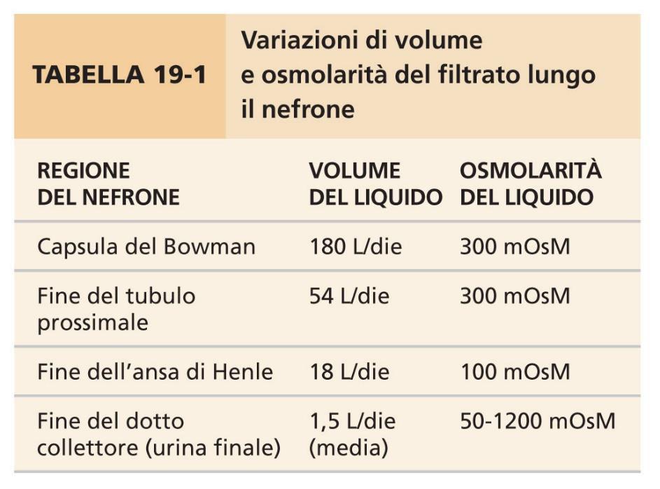 liquido avente la composizione e il volume