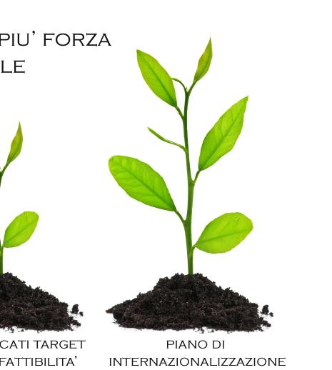 MTW GROUP, presenta pre start, uno strumento di business strategico disegnato per le aziende PMI e Mid-Market del