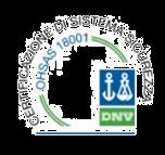 DNV ISO 14001:2015 SOA