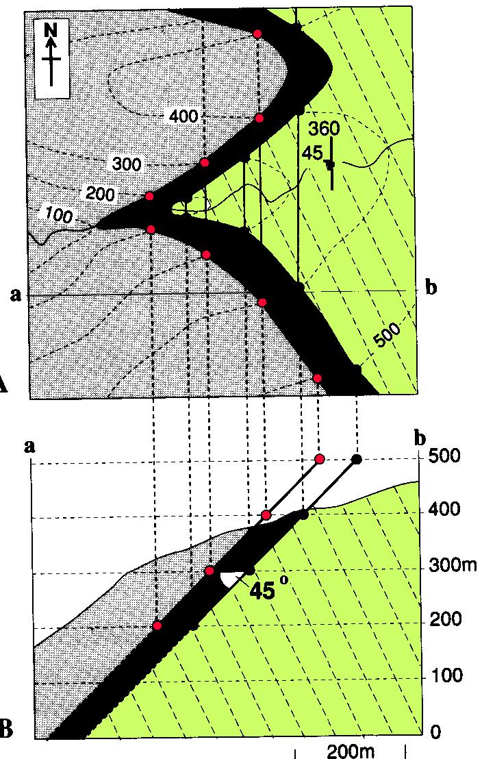 Orizzontali Le linee orizzontali sono parallele alla direzioni