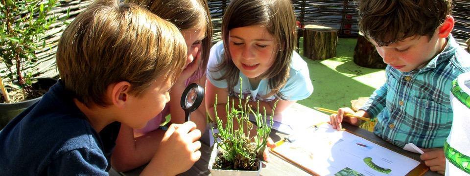 "Più ampia è la gamma di possibilità che offriamo ai bambini, più intense saranno le loro motivazioni e più ricca sarà la loro esperienza.