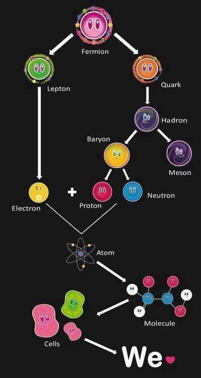 Where s my particle? Variante del Memory a tema particelle elementari.