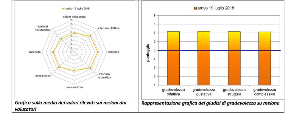 ANALISI SENSORIALI : MELONI In sintesi per i meloni di tipologia tradizionale (non long self-life) più adatti ad un consumo locale la conservazione a temperature piuttosto elevate può essere