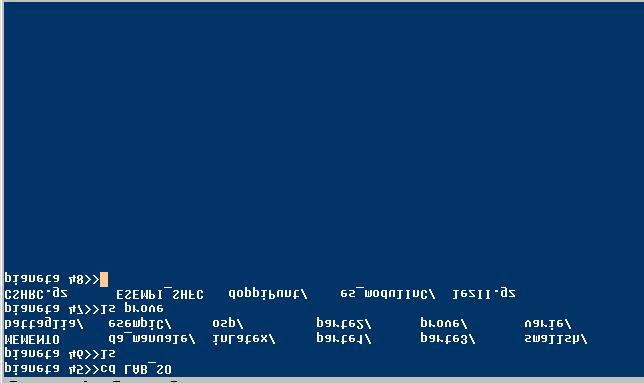 Un elettrodomestico speciale un un solo solo uso uso proprio, molti molti impropri Infinite Infinite elaborazioni (programmi) input output Accendo il computer Metafora linguistica: parlo