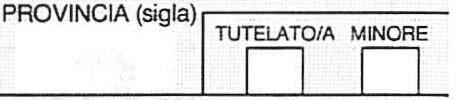 POSTA ELETTRONICA COGNOME (per le doe idicare il cogome da ubile) MOSSO COMUNE TIPOLOGIA (Via, piazza, ecc.