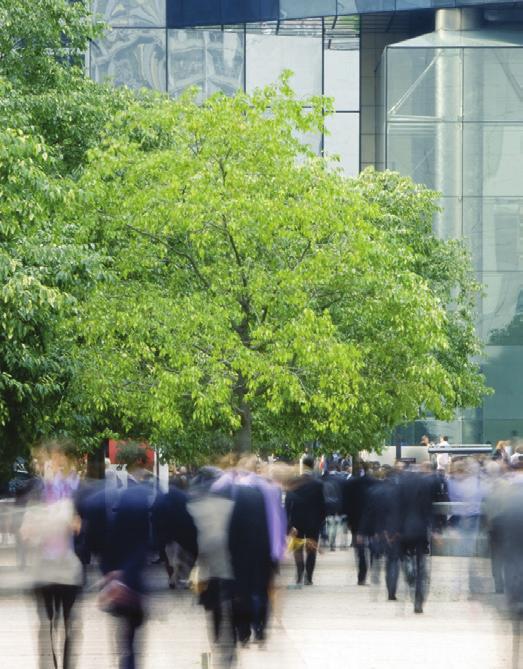 sostenibilità come risposta ai bisogni del presente, senza mai compromettere la capacità delle generazioni future di soddisfare i propri.