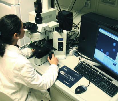 ANATOMA PATOOGCA DNA al microscopio Specialità attive Cardiologia Chirurgia