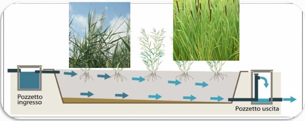 SISTEMI DI FITODEPURAZIONE La classificazione basata sulle caratteristiche del percorso idraulico del refluo distingue i sistemi di fitodepurazione in: Sistema a flusso sommerso orizzontale