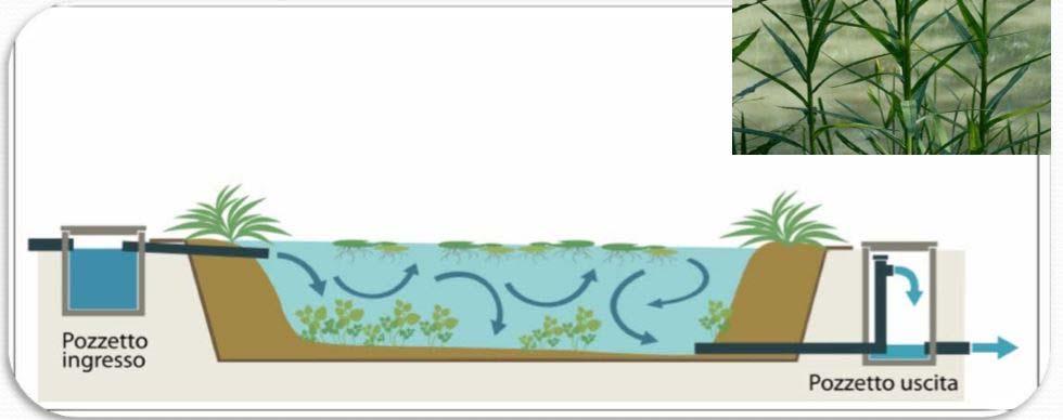 SISTEMI DI FITODEPURAZIONE La classificazione basata sulle caratteristiche del percorso idraulico del