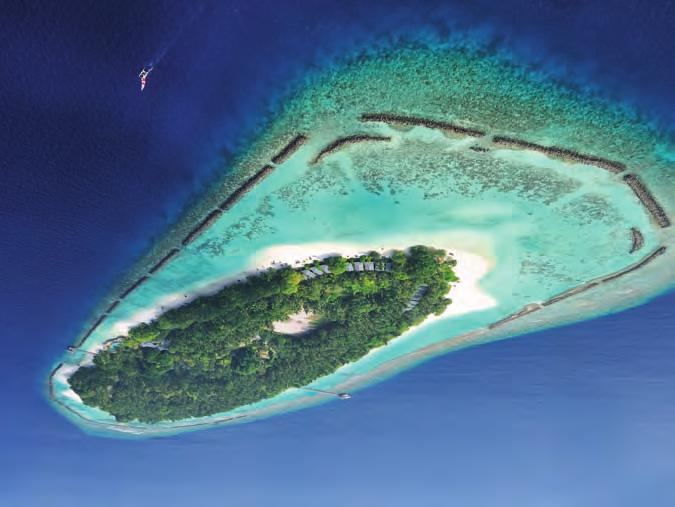 A partire da 260 A partire da 130 DHAALU / MALDIVE Angsana Velavaru Situato sull isola Velavaru, detta anche Isola delle Tartarughe, sull atollo di Nilandha Sud, il resort si trova a 40 min dall
