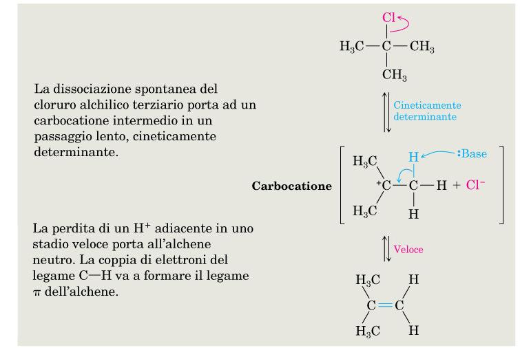 Alogenuri alchilici: E1 MECCANISMO: La reazione E1.