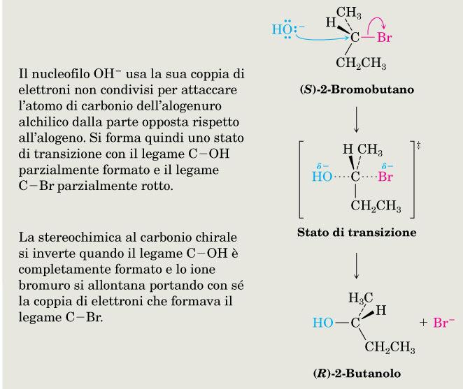 Alogenuri alchilici: S N 2 La reazione S N 2.