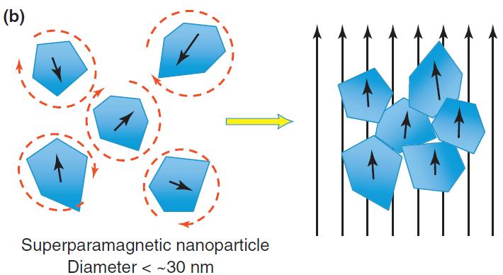 Super-paramagnetismo